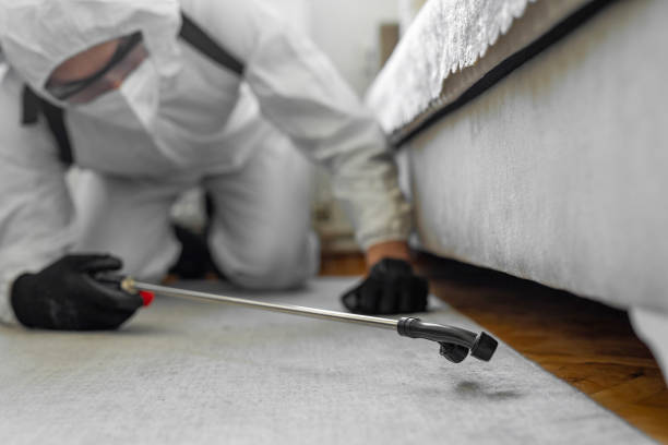 Professional Termite Control technician working in Dumont, NJ