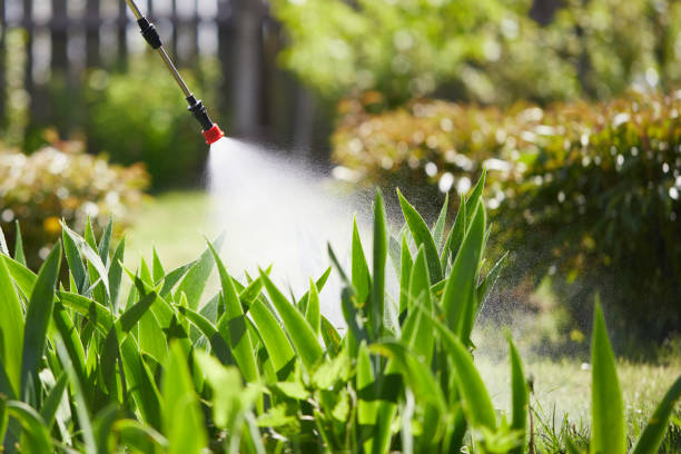 24/7 Emergency Termite Control experts in Dumont, NJ
